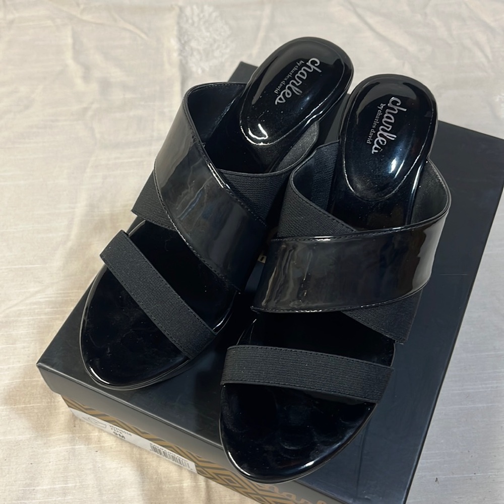 Charles By Charles David Womens Fefe Wedge Sandals
